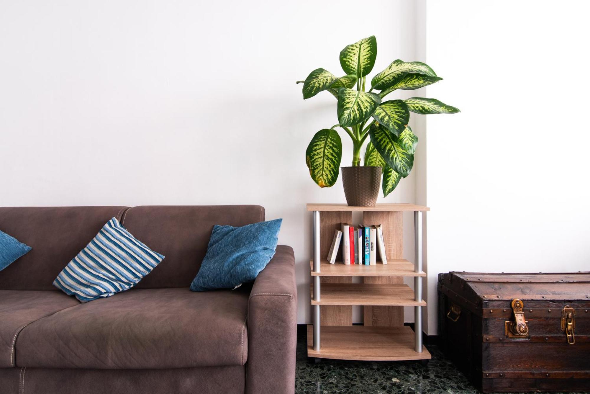 90Mq In Centro 5Min Dal Mare Apartment Recco Ngoại thất bức ảnh